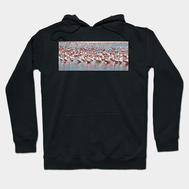 Flamingos and Flamingos..... Hoodie by Carole-Anne